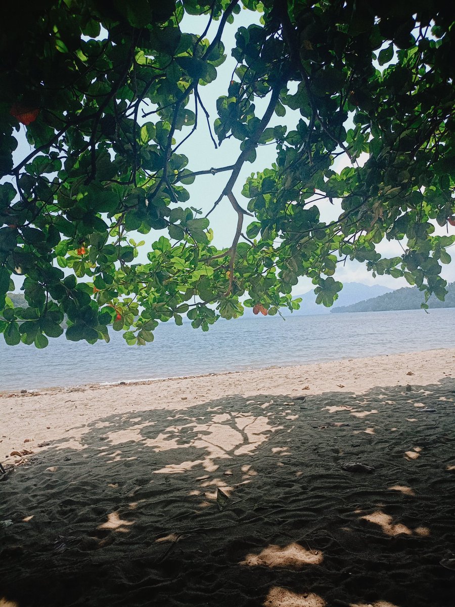 PromdiePOZ22's tweet photo. Unwind🌊🏖️🥰
#plhivdiaries 
#morongbataan https://t.co/FmxWVPksyX