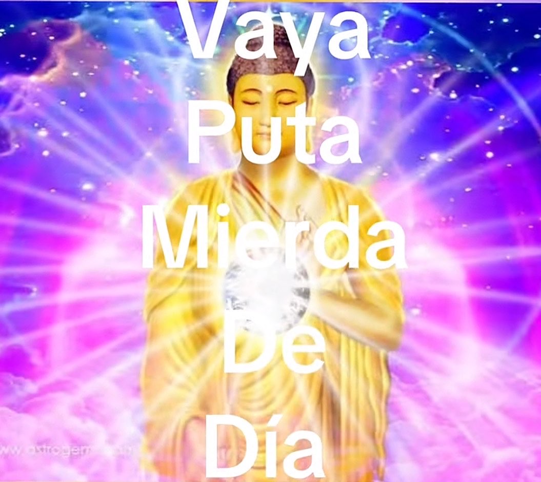 piña sin pizza tweet media