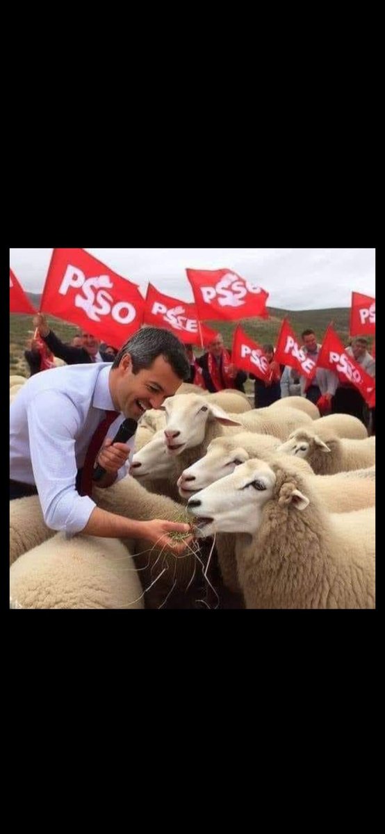 NoSinDignidad1's tweet photo. @voz_populi @montseminguez eres una #Tarada! https://t.co/9sqUjlF92C
