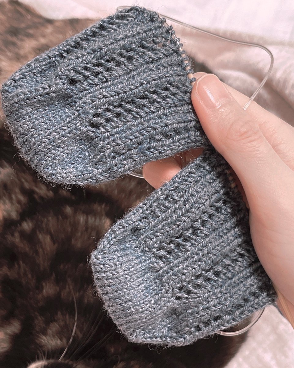 ＊むむすけ＊ページです♡ 靴下の同時編みに初挑戦🧶🐈‍⬛