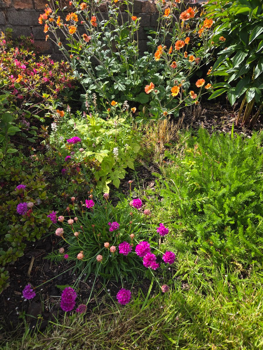 Bootle_A_G's tweet photo. Lots of colour in Oxford Gardens. It's a lovely little spot to stroll through during this Mental Health Awareness week. I've sorted under the Southport Road sign today and it should look good in a few weeks time. https://t.co/zAUQM8z4sL