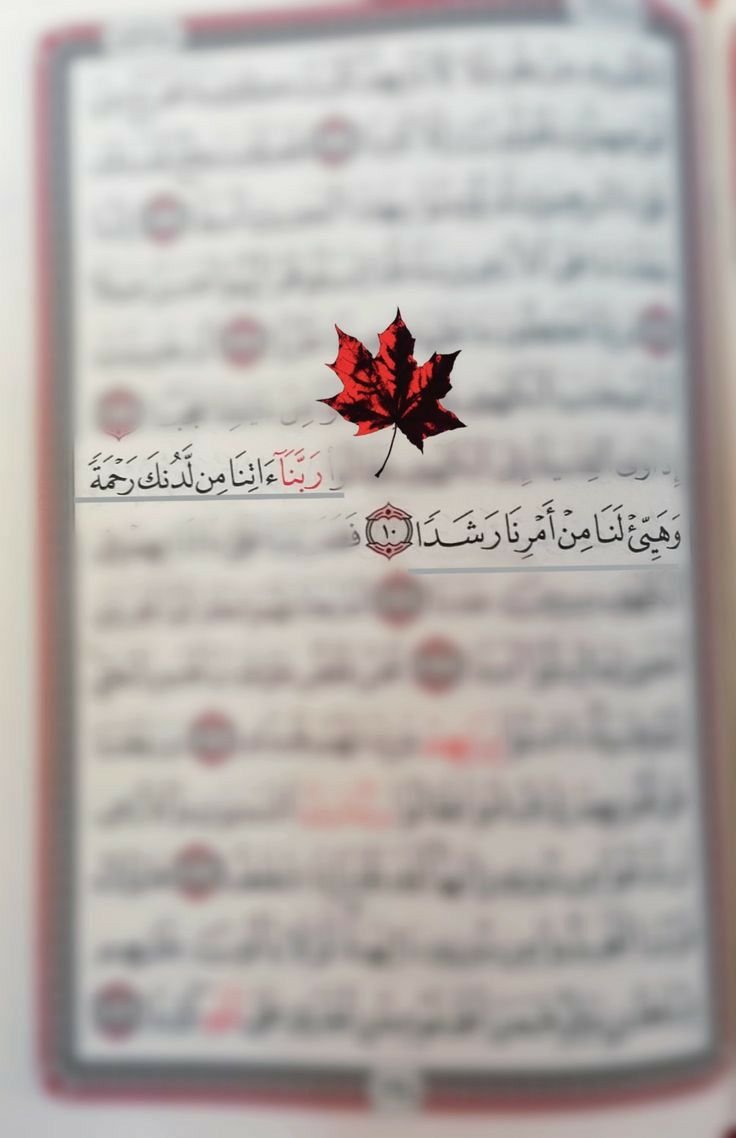 سماء 🍉 tweet media