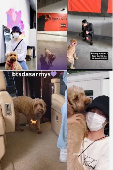 jm_dogs's tweet photo. pra quem não sabe o Stoney é um cachorro conhecido como “dog da turnê”.

ele trabalha como "coordenador psicológico" e ajuda artistas a lidarem com o nervosismo antes de se apresentarem. ele apareceu para o bts em PTD, hobipalloza, dday tour, e agora apareceu em arirang também 🫠 https://t.co/T5Oz4akDLF