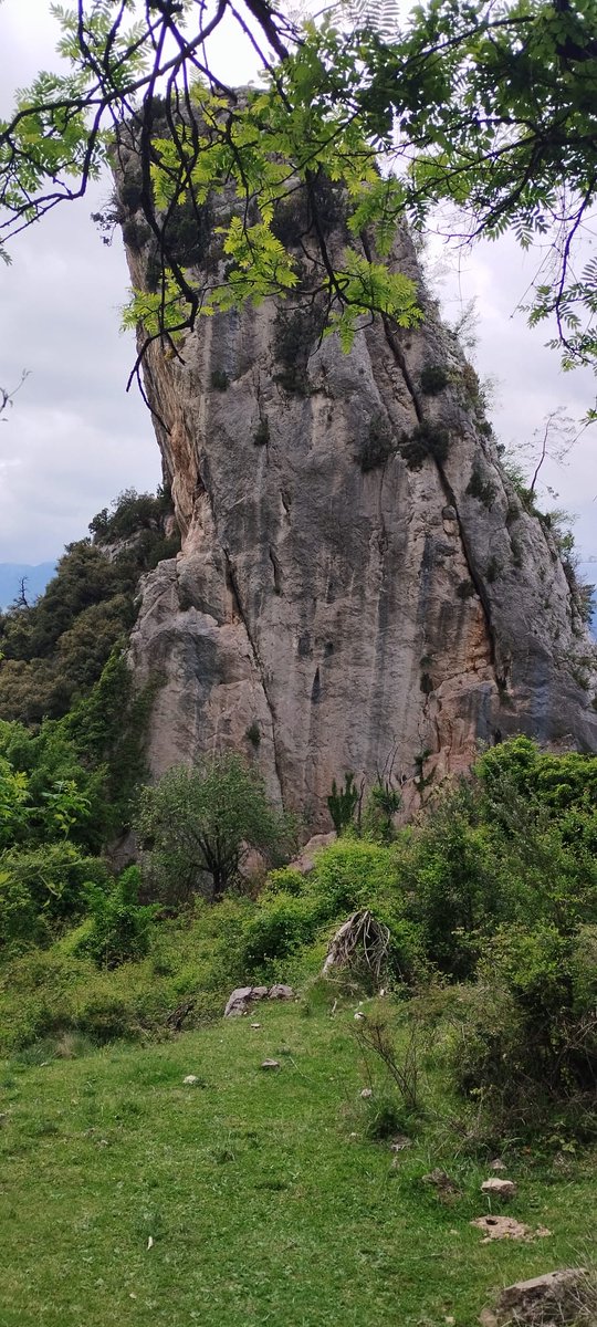 AEMartorell's tweet photo. 🥾 El Sobrepuny (Berguedà). A la tercera va la vençuda! Després de programar la sortida els dos últims anys i ajornar-la pel mal temps, ahir va ser possible pujar al Sobrepuny (1.655m). Una sortida circular de prop d'11 km i 950 m de desnivell. https://t.co/YPUNPCmybu