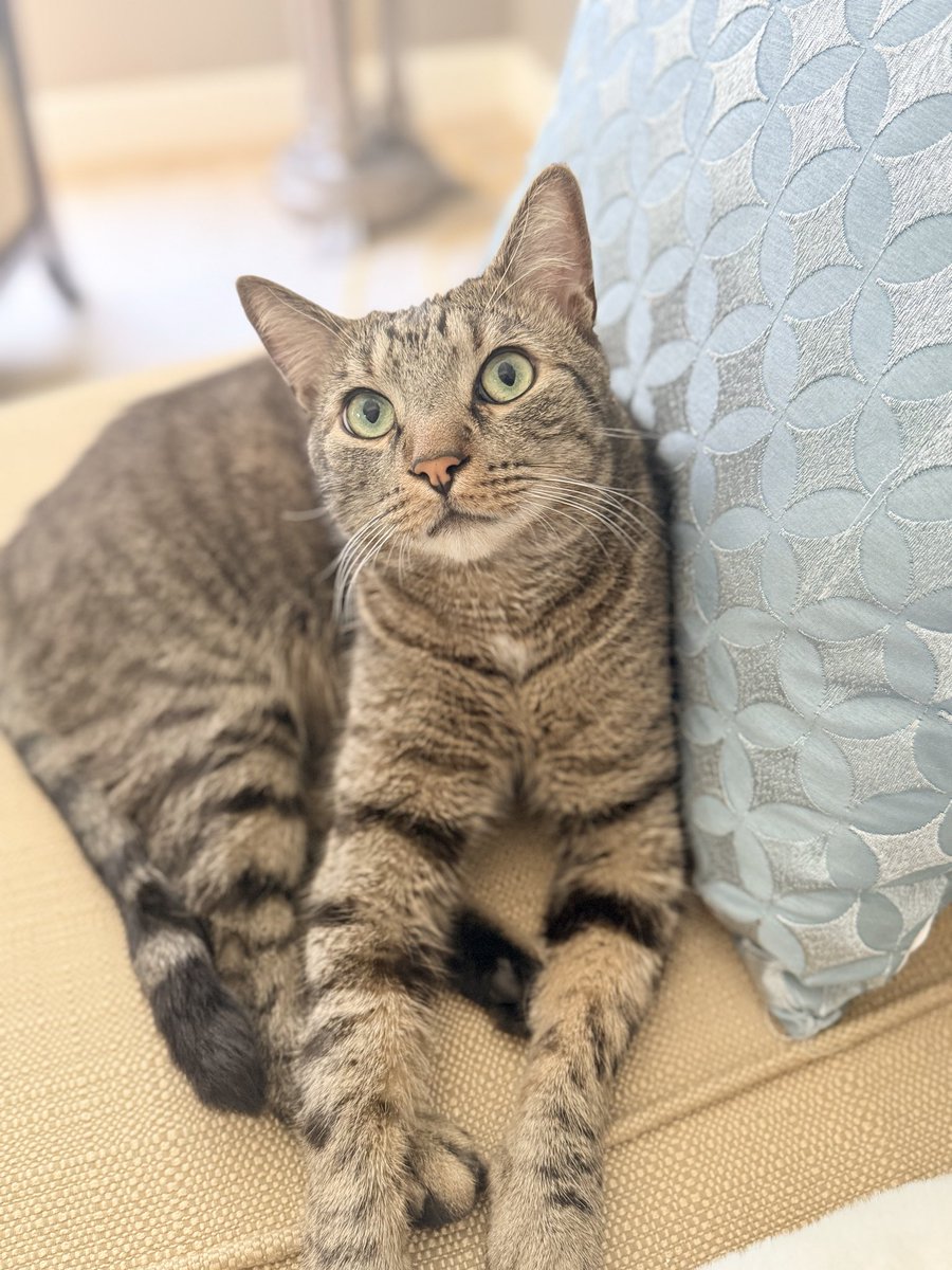 Jax Buckeye tweet media