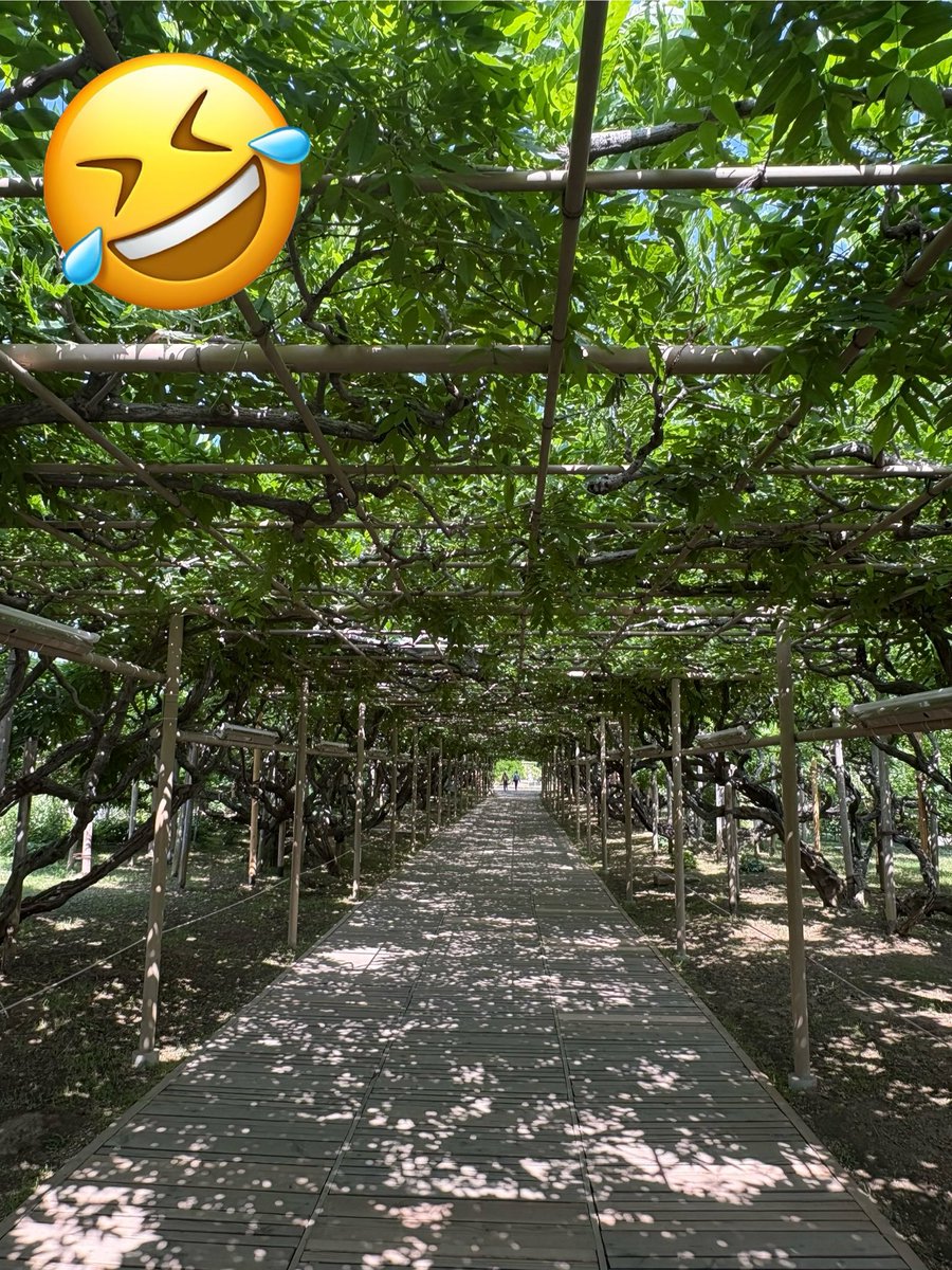 🌻🌻Happy🌻🌻 tweet media