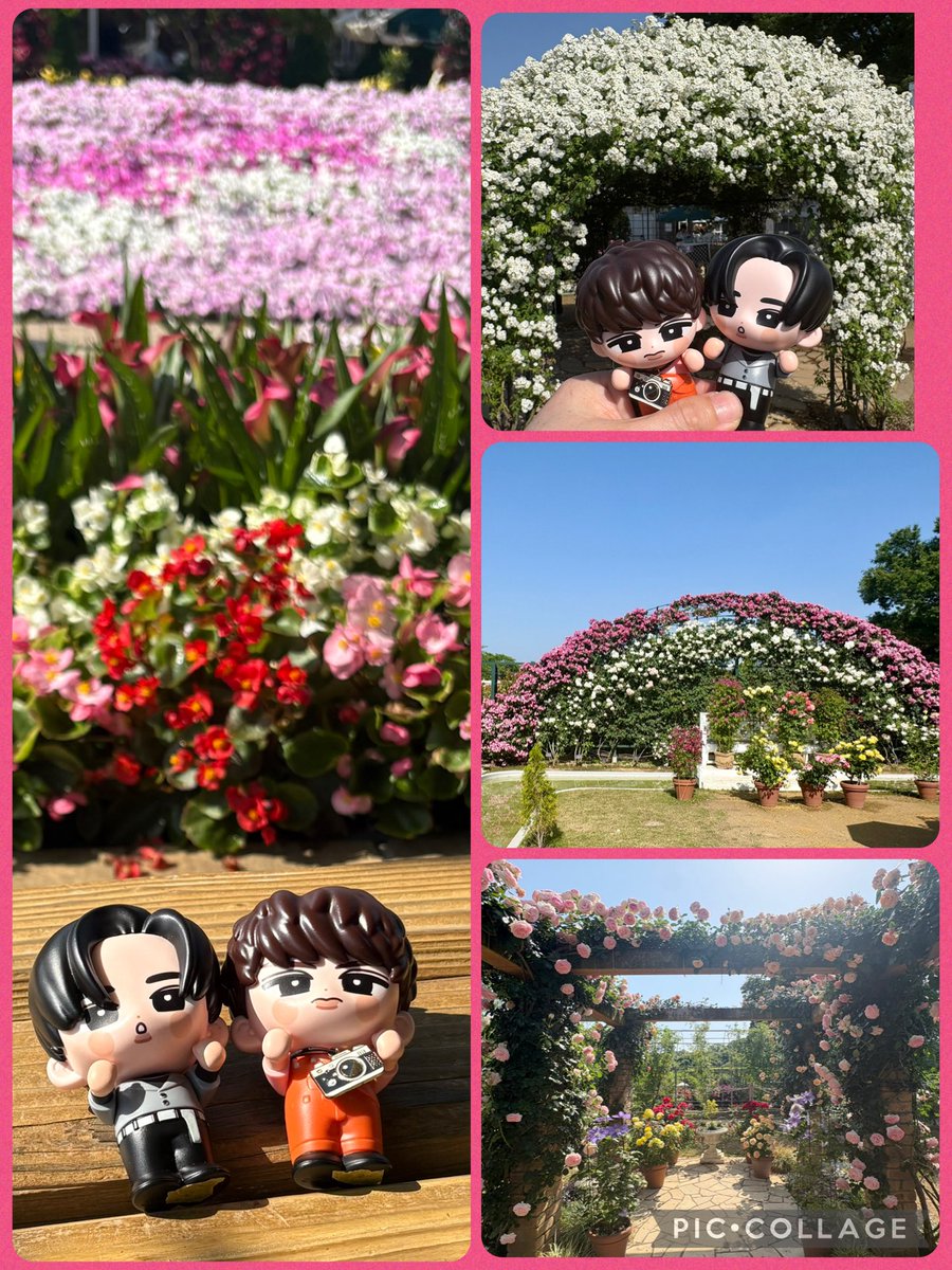 🌻🌻Happy🌻🌻 tweet media