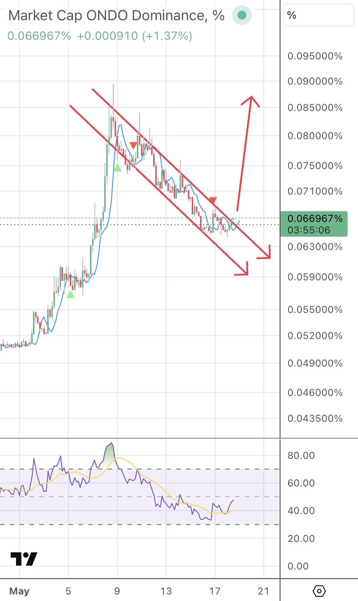 wildly bullish tweet media