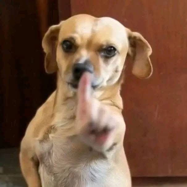 Rocco - Jurídico Jonas BBB tweet media