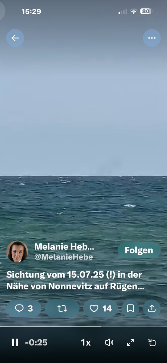 Nicole Alt 🇩🇪💙🇺🇸 tweet media