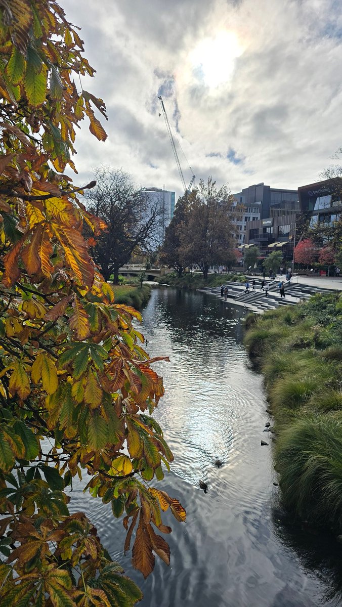 WebTaniwha's tweet photo. Love being back in Ōtautahi @Christchurch_NZ. Always something new amongst the familiar every time I visit. It is now the city's time to shine again 🧡 https://t.co/sGt0SlieT2