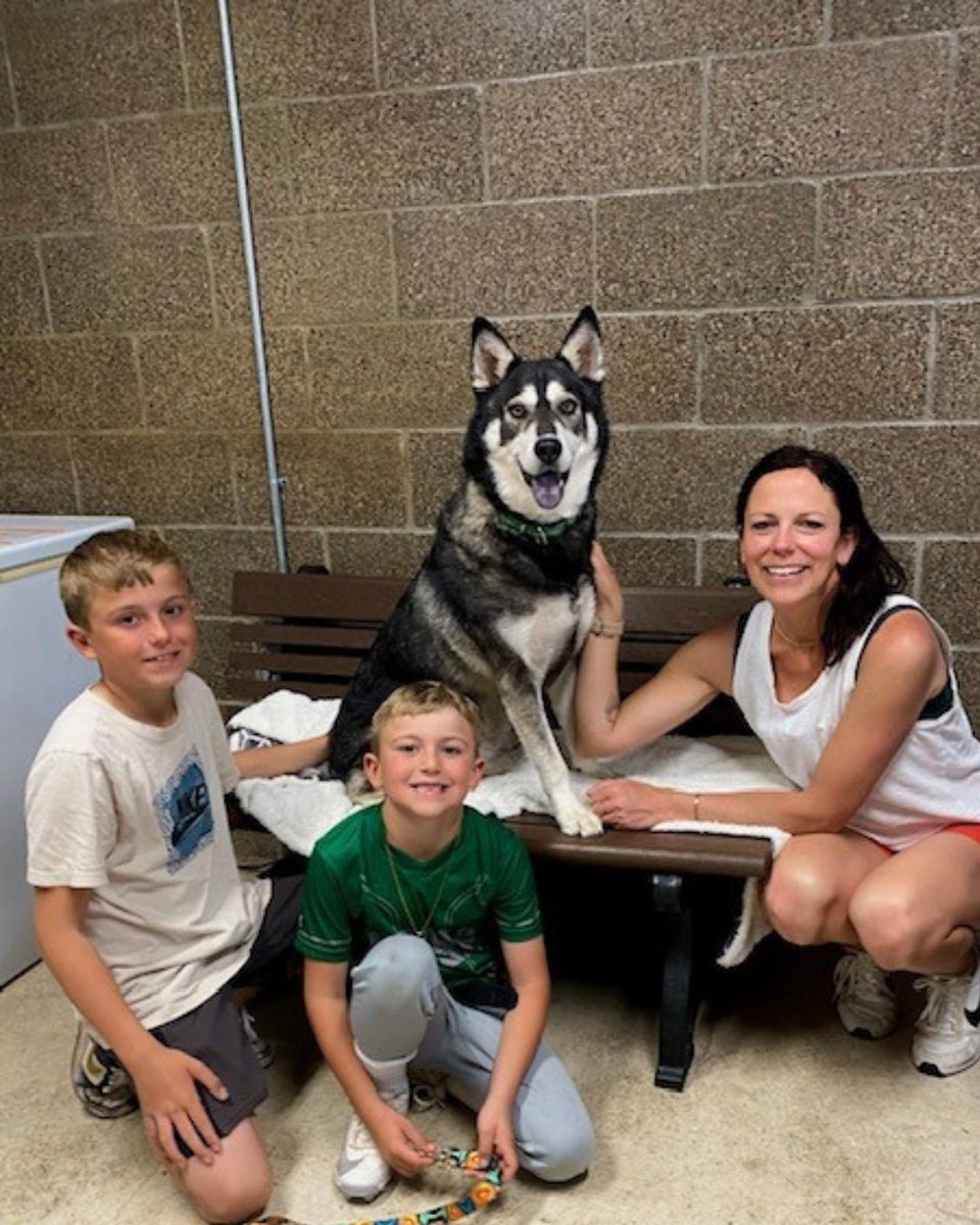 Greenhill Humane tweet media