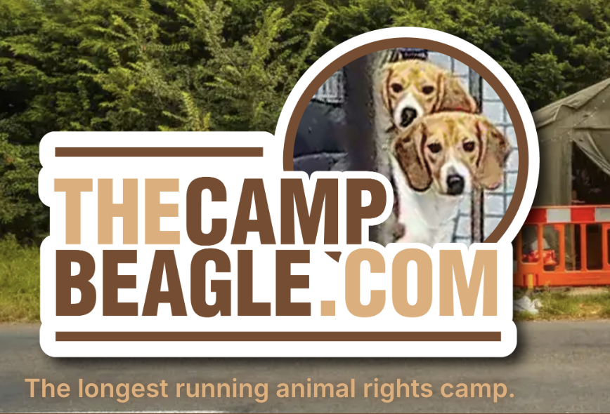 LeeSarah9049's tweet photo. Outside one UK breeding facility, activists at Camp Beagle protest every day to expose what happens to dogs bred for laboratories. 🐶⚠️
Sometimes awareness starts with simply refusing to stay silent.

#StopAnimalTesting #SaveBeagles #60animals
https://t.co/iDNgaGYr7H https://t.co/5HspFZgpuF