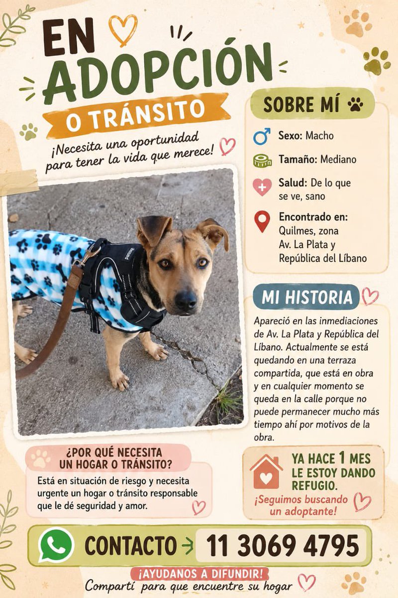 An ♥️ 🇦🇷 tweet media