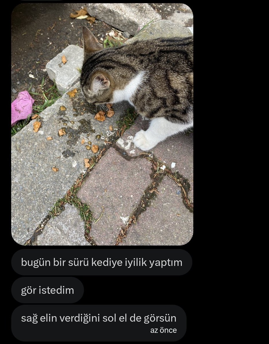 selinay tweet media