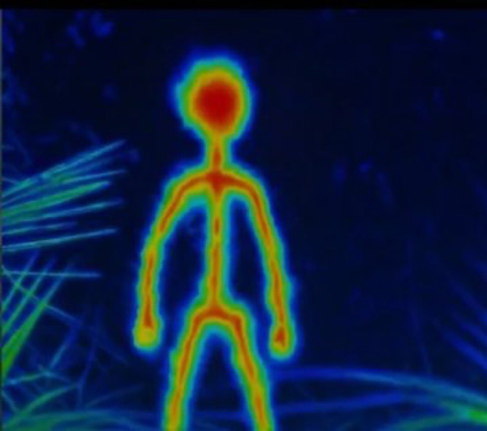 ŠB tweet media