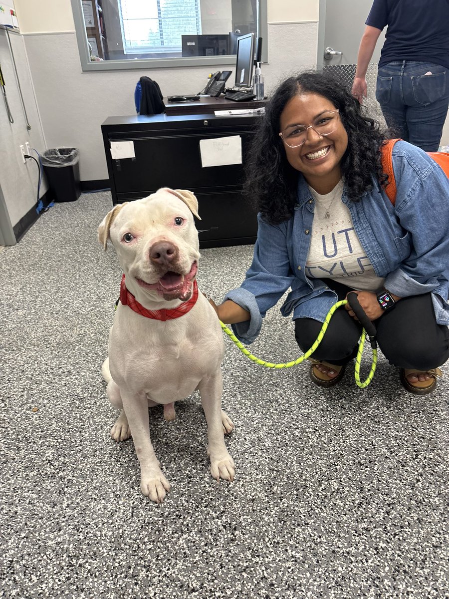 Fort Bend Animal Services tweet media