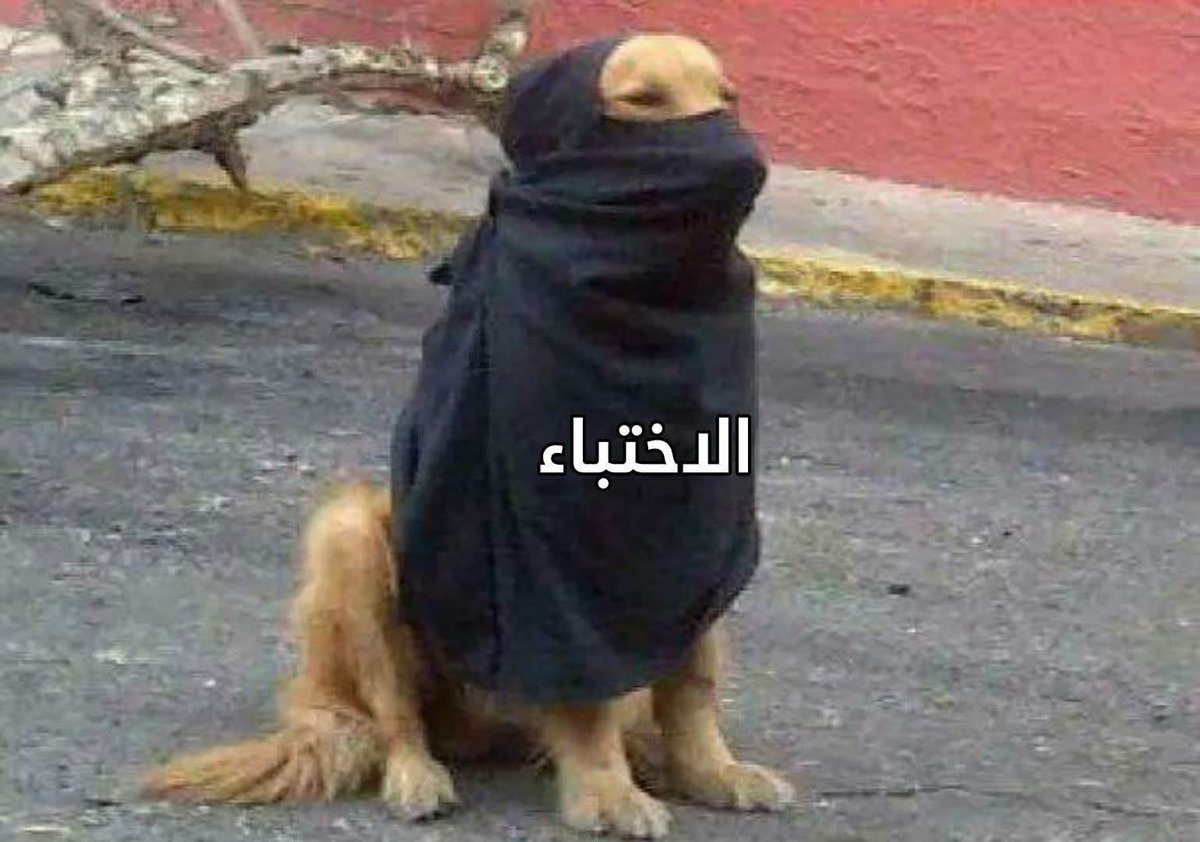 Ahmed El🇲🇦 tweet media