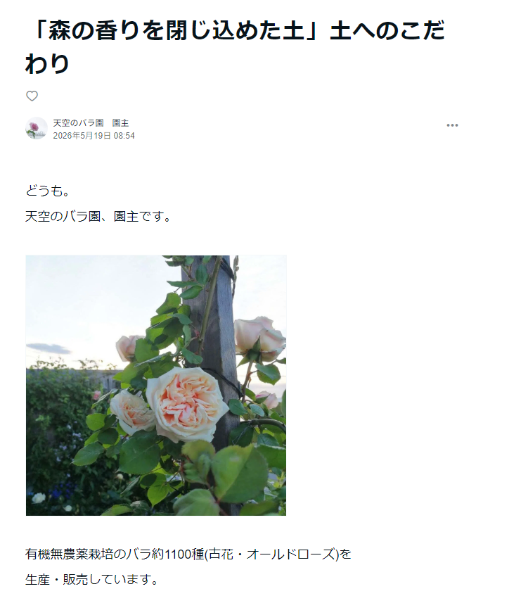 rosa_celestial's tweet photo. note更新しました！
前にアメブロで載せてたうちの「土についてのこだわり」に関する記事です。
月日が流れ、もう少し書き足したい内容なのですが、
資材セール始めちゃったのでいったん公開します

「森の香りを閉じ込めた土」土へのこだわり
https://t.co/GtwaSaPj6g https://t.co/DPb8tfPUTT