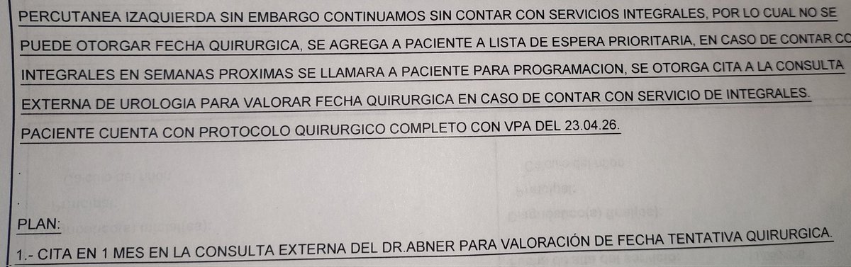 emm magüini tweet media
