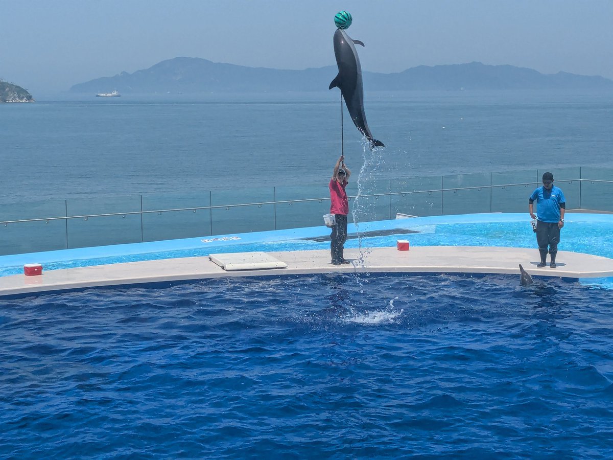 ob7223's tweet photo. #水族館めぐり #四国水族館 https://t.co/GrlK4QnJup