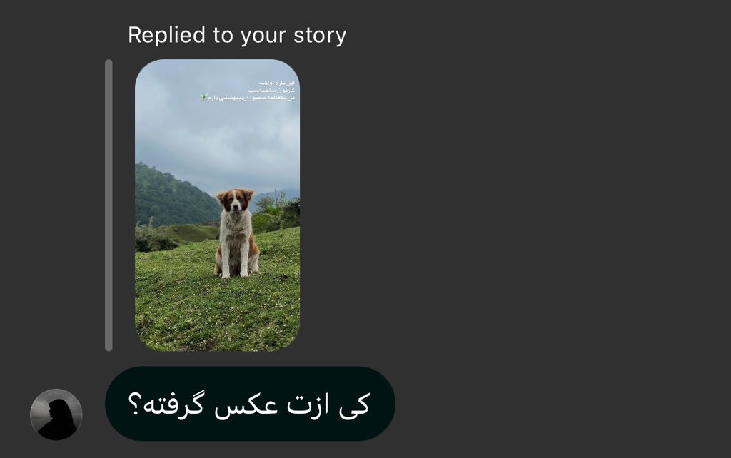 آلاء با همزه tweet media