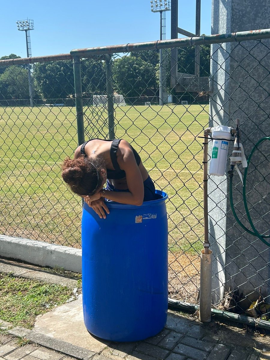 alicinha do cangaço novo 2T tweet media