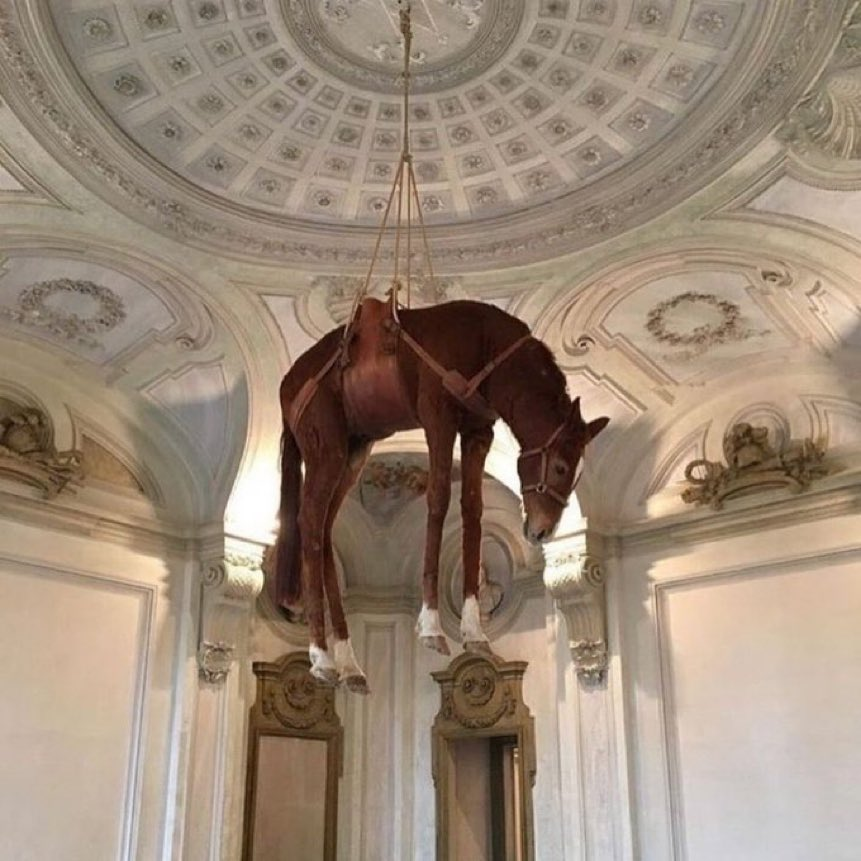 horse tweet media