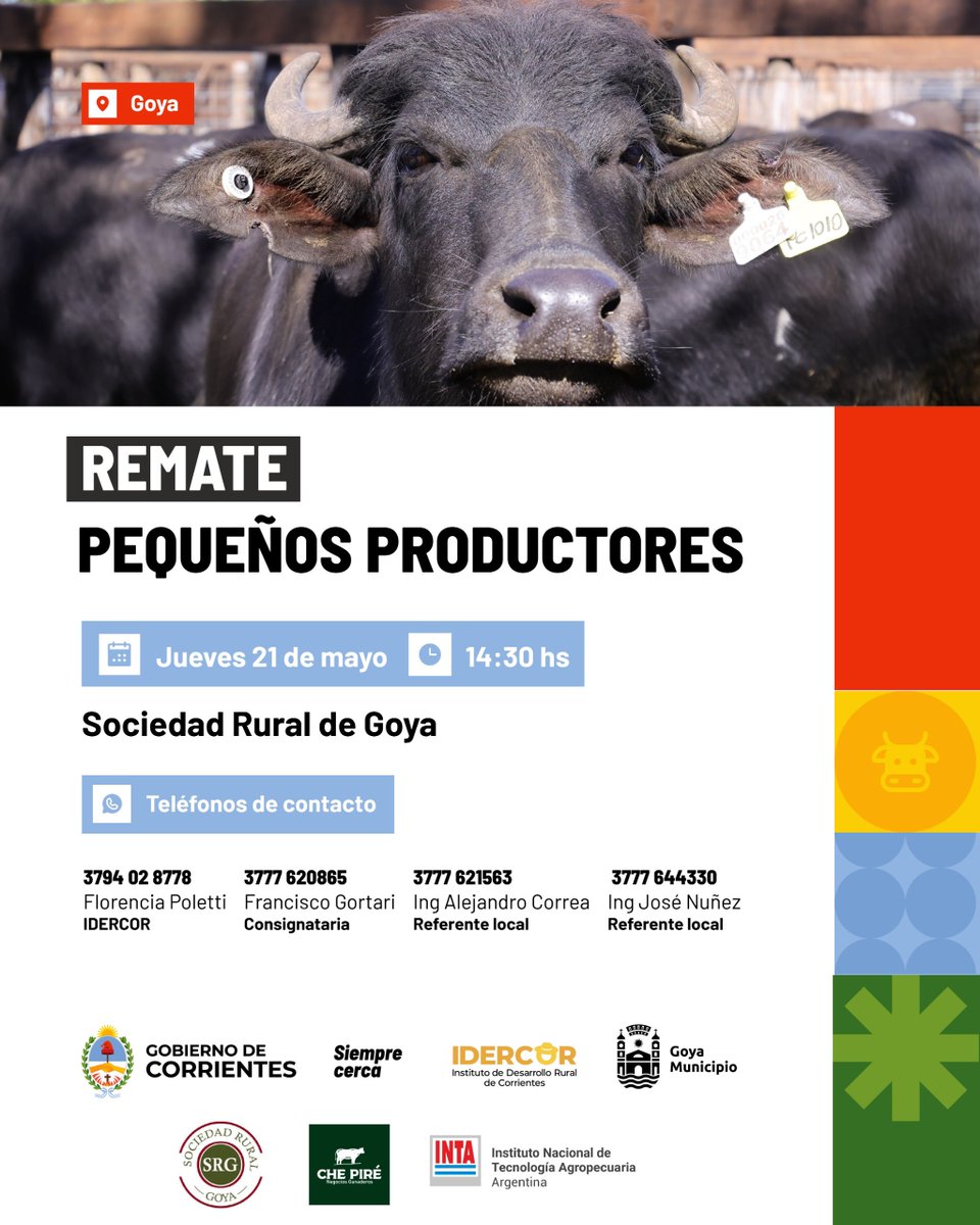 idercorrientes's tweet photo. AGENDA SEMANAL DE ACTIVIDADES. Seguimos acompañando a los productores con remates, capacitaciones y espacios de encuentro para fortalecer el trabajo en el campo. Más trabajo, herramientas y oportunidades para el desarrollo rural. https://t.co/HS5glXkiW2
