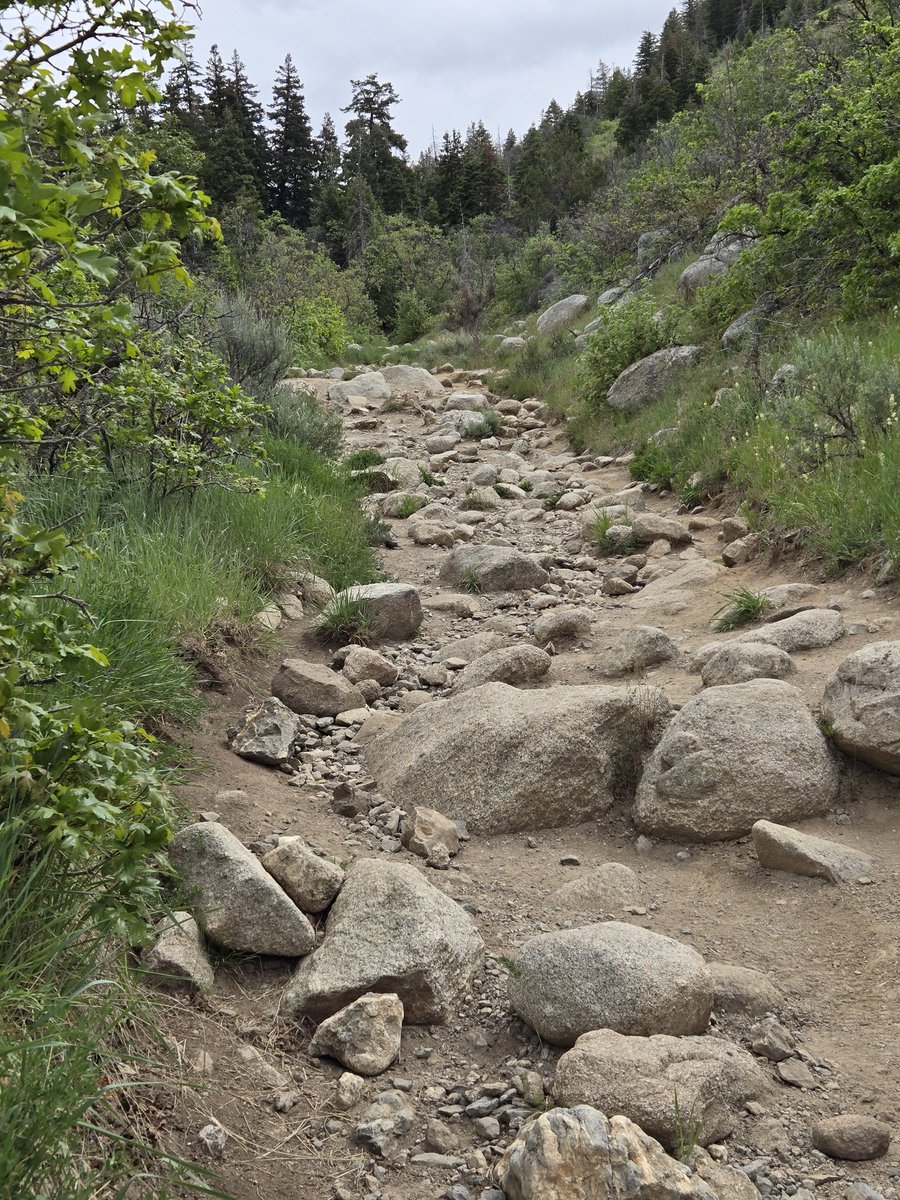 mevry's tweet photo. Horsetail Falls https://t.co/d2p5FTnw0j