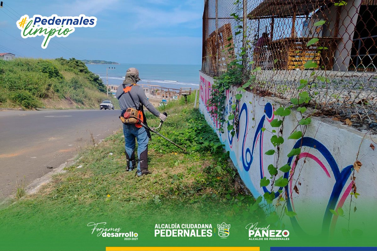 Alcaldía Ciudadana de Pedernales tweet media