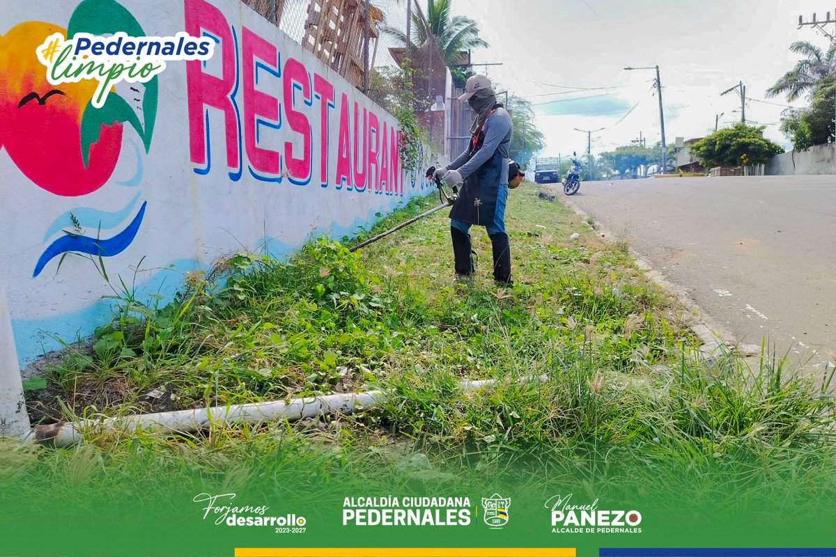 Alcaldía Ciudadana de Pedernales tweet media