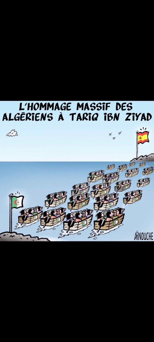 Looup soolitaire tweet media