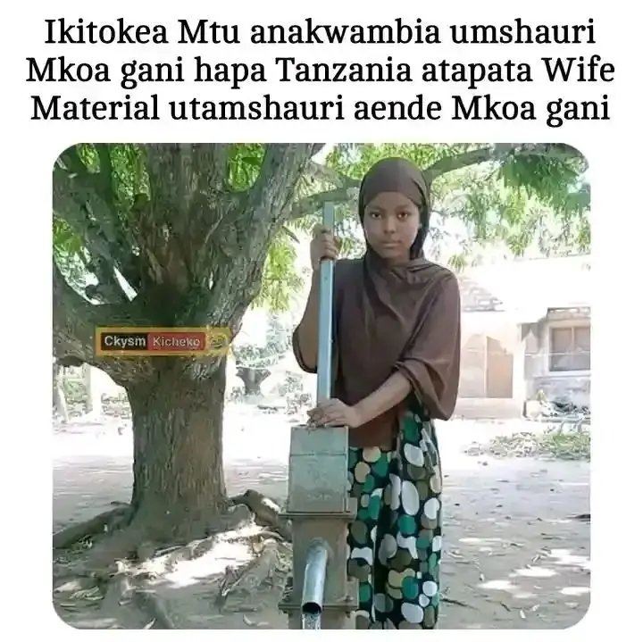 ~BINGWA⚡ tweet media