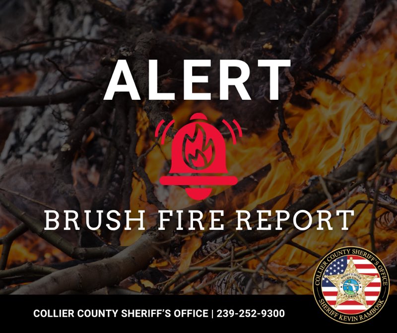 CollierCountySheriff tweet media