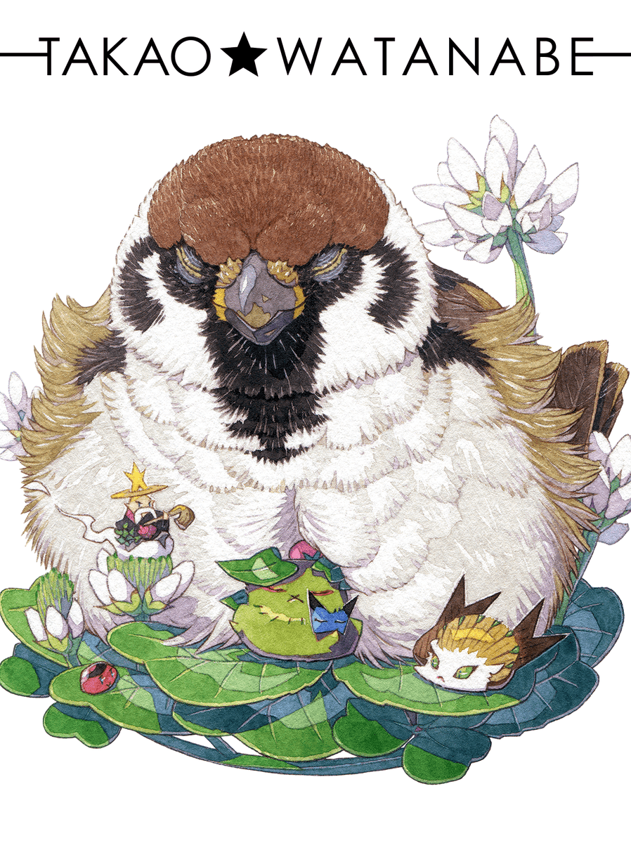 渡辺孝夫🌿5/23-24野鳥フェス参加 tweet media