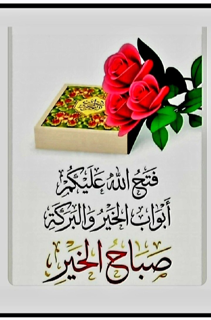 عبد المجيد مصطفى tweet media