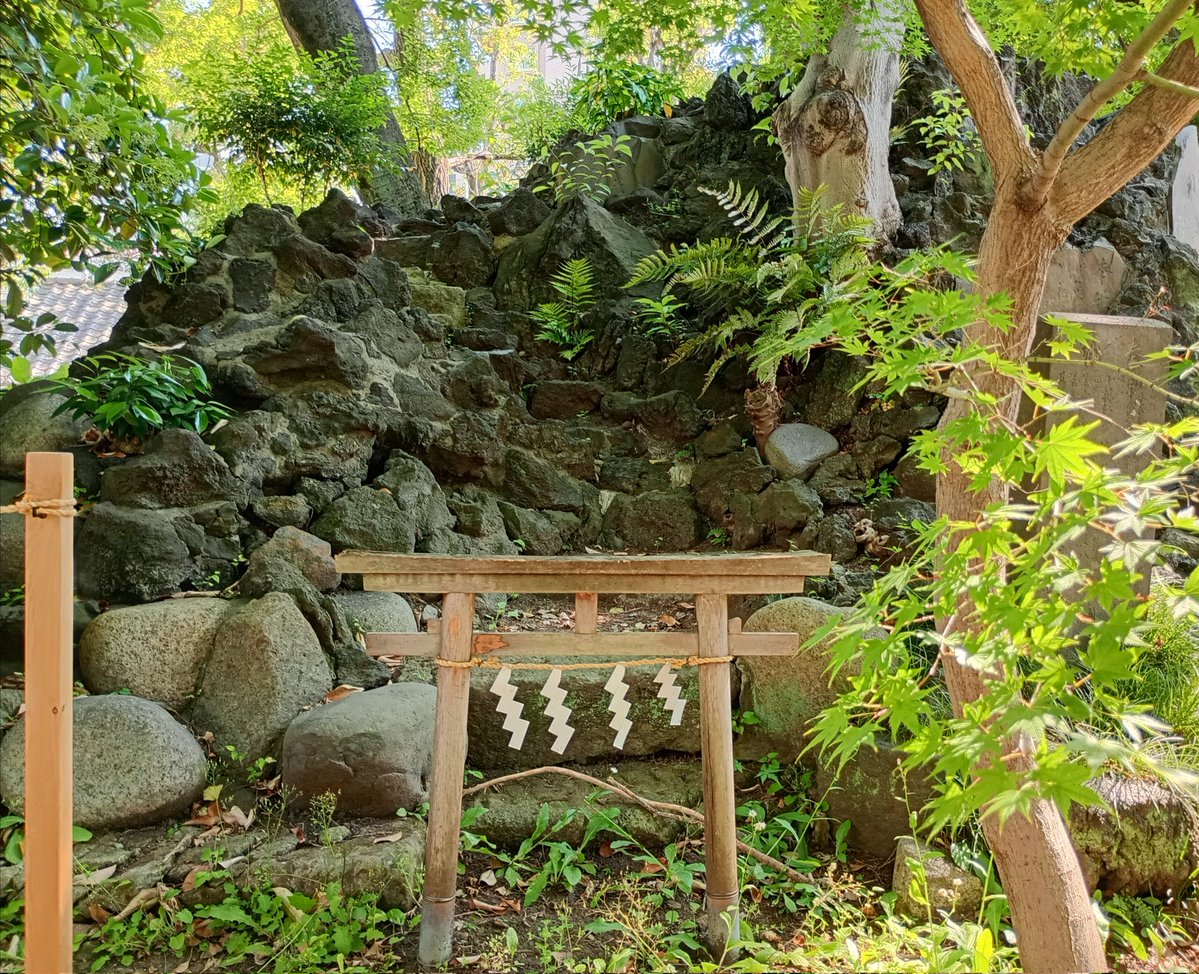 Fridge✡0✡Empty⛩️神社B級カルト廃墟レトロ🎸🎸 tweet media