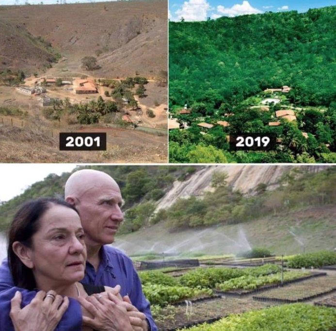 awkwardgoogle's tweet photo. This couple planted 2+ million trees and regrew a forest in 20 years. https://t.co/XaQMIgAa3L