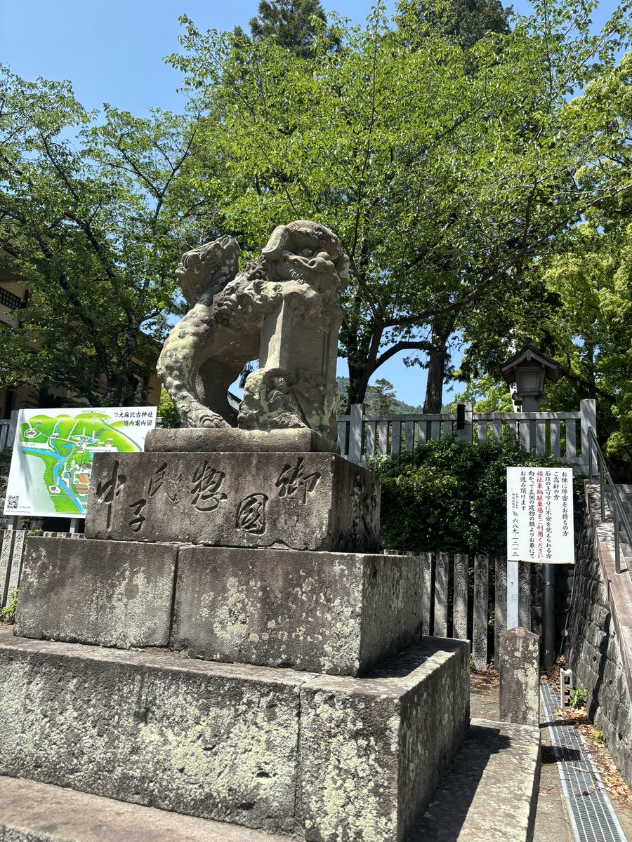 melon_megzo's tweet photo. 大麻比古神社。ほんわか気持ち良い場。樹齢千年を超える楠が御神体。ドイツ兵が作った眼鏡橋が可愛い。一瞬、セミの声が。そりゃこの暑さじゃ夏だと思うよね https://t.co/qsNGku9c8z