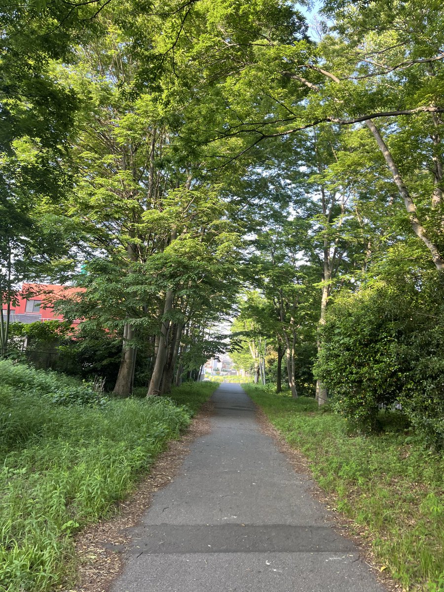 tobarun's tweet photo. おはようございます。
昨日はランオフ。足首の痛みが和らいだので走りました。
一日おきぐらいがいいのかもしれません🏃‍➡️ https://t.co/BRZiGF0Wij