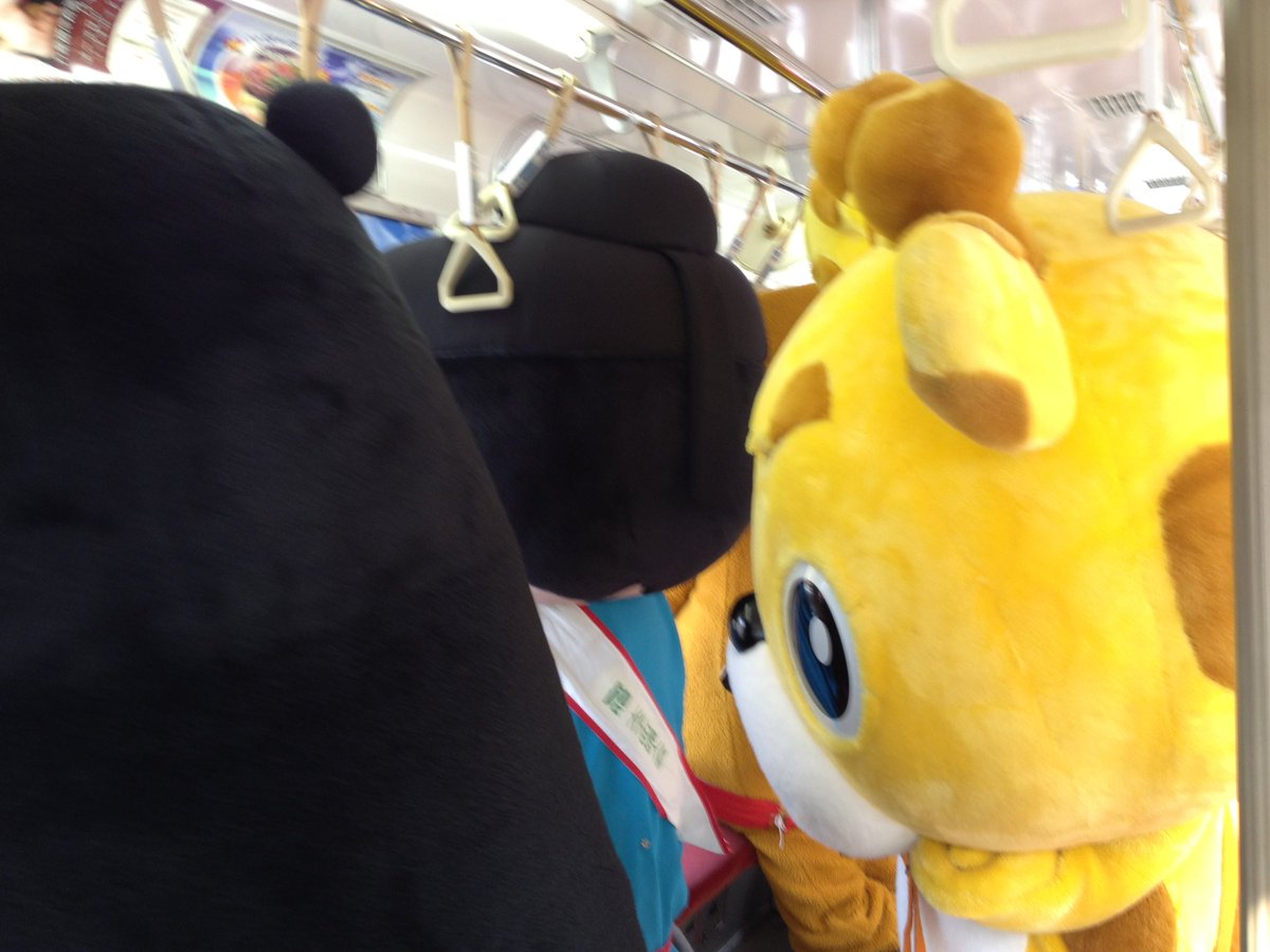 いしきりん tweet media