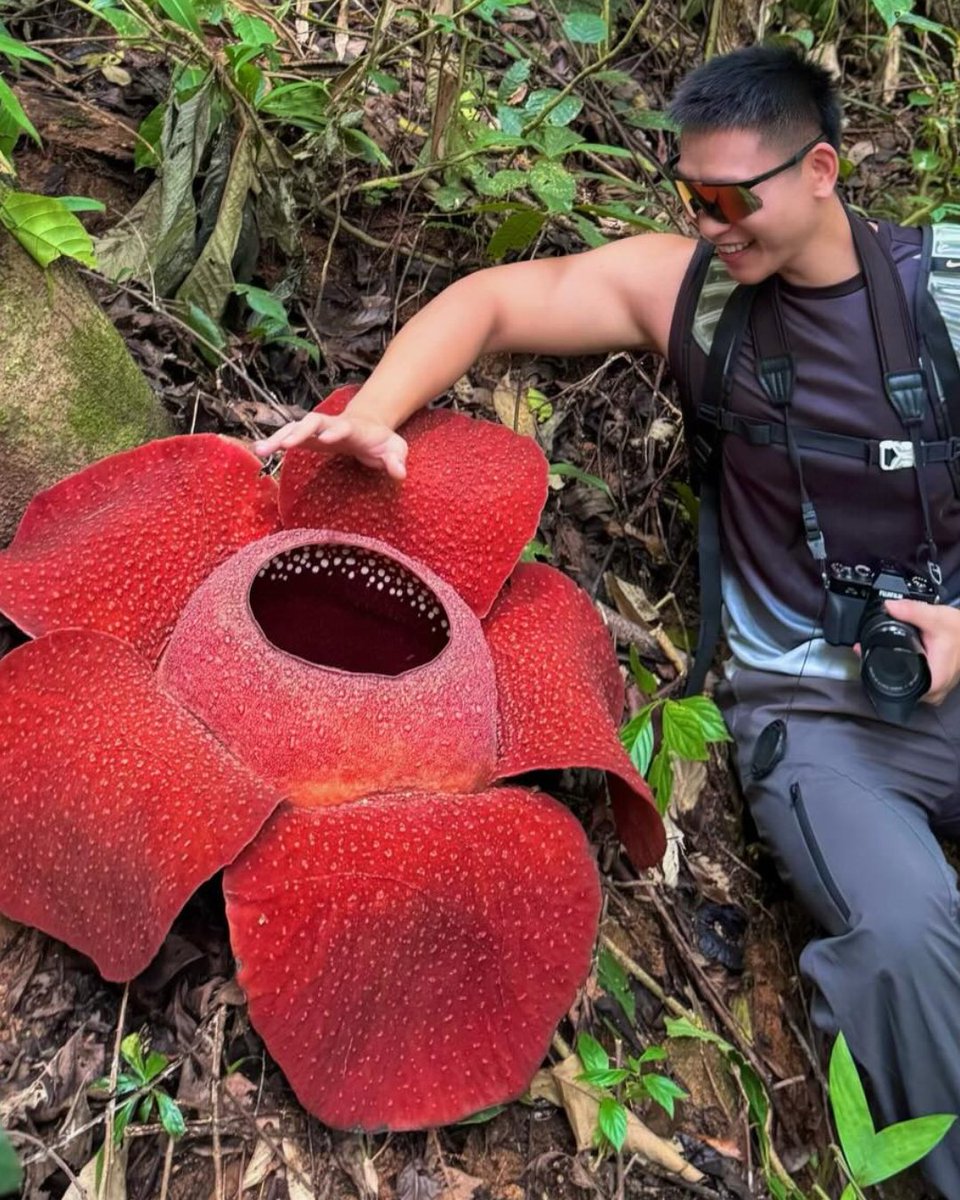 Fanatics Collect tweet media