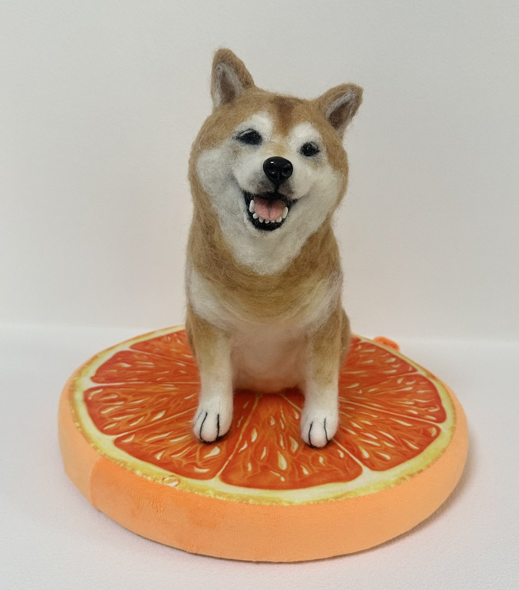 柴犬の『みかん🌈』ちゃん完成です🐶 みかんちゃんなのでみかんの上に