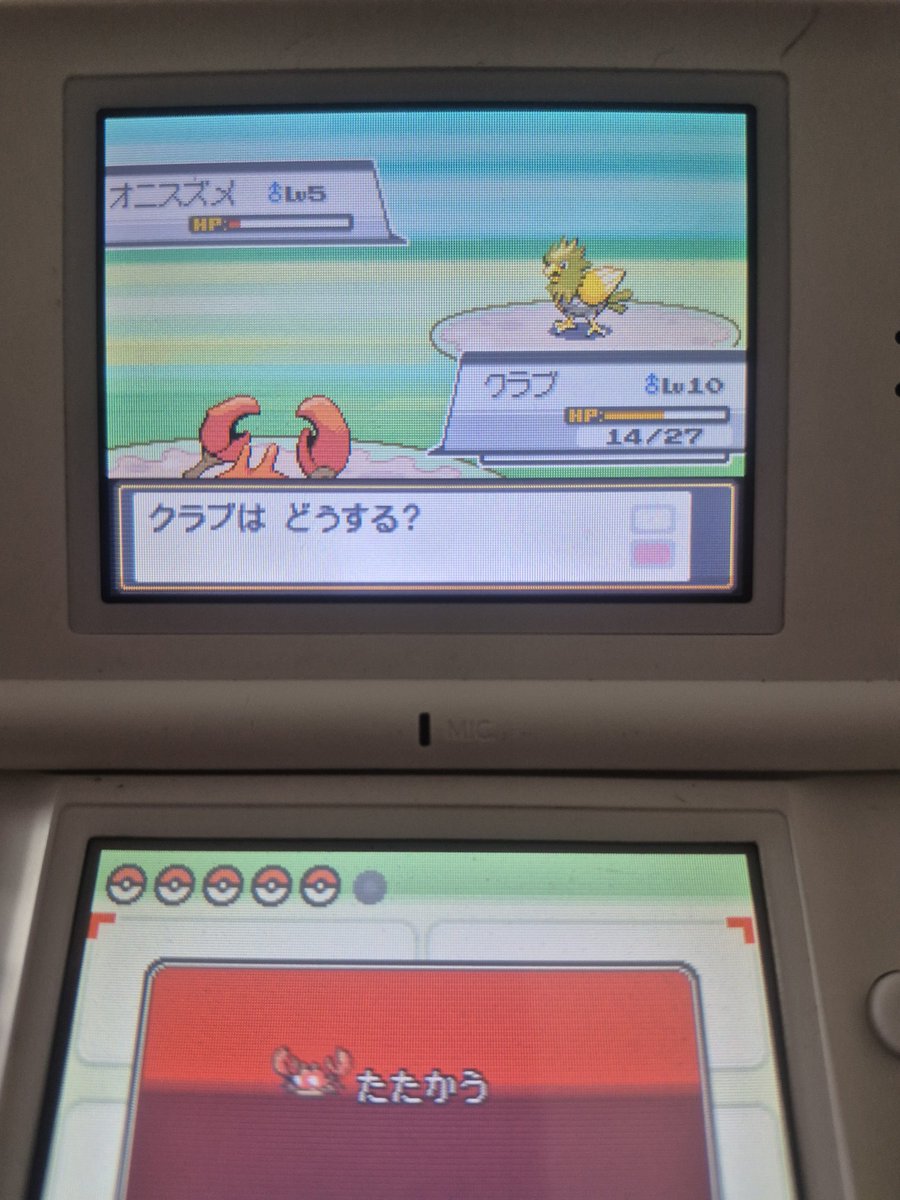 Cubone Skol tweet media