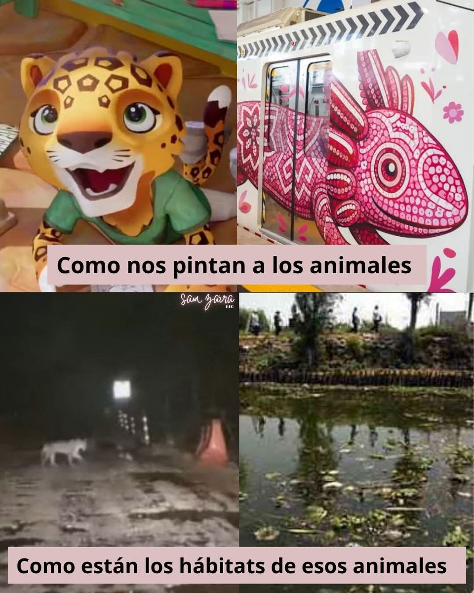 MvrcxVntxnix's tweet photo. @SEMARNAT_mx https://t.co/VxjAw4CRkp