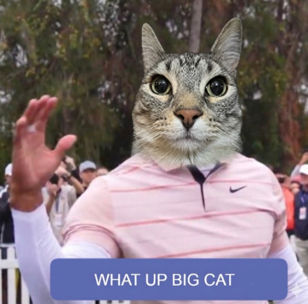 Big Thumb tweet media