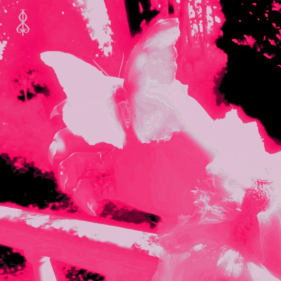 ꨄ︎ ˚. ᅟ ᅟ ᅟᅟᅟᅟᅟ ᅟ ᅟ ᔾ 𝕮𝙾͜𝙻͜𝚄𝙼𝙱𝙸𝙽𝙰. tweet media