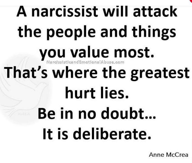 The Narcissist Box tweet media
