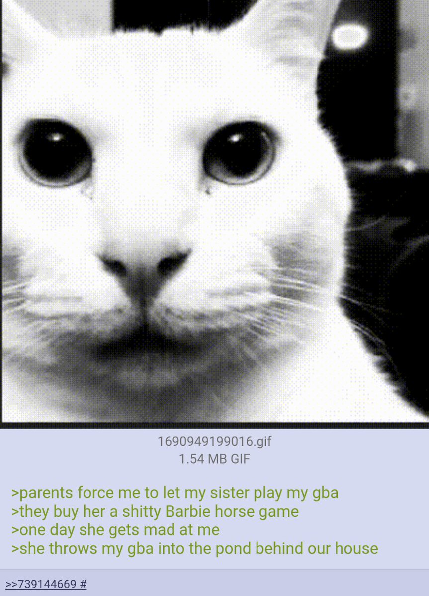 The 4Chan Archives tweet media